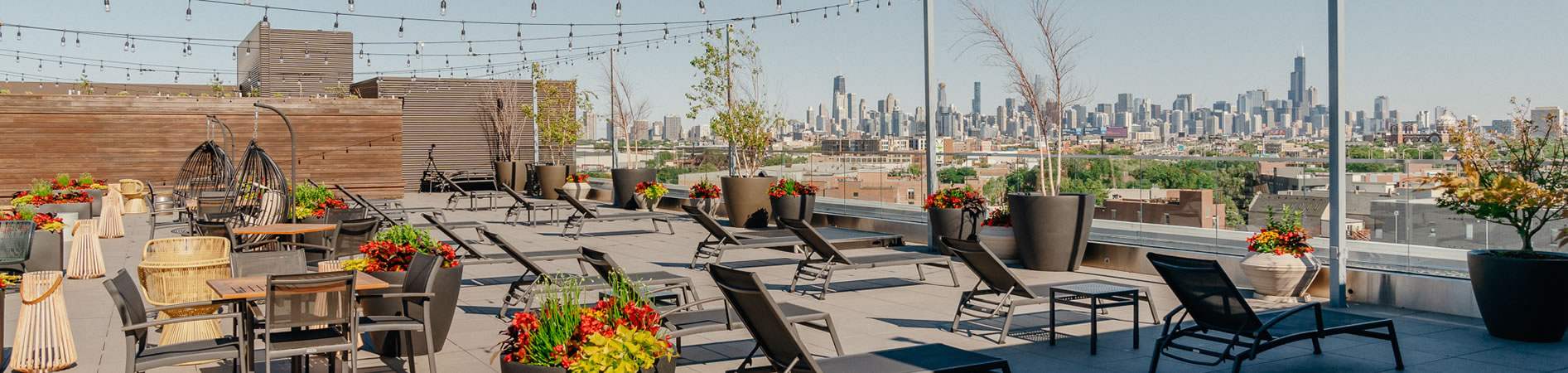 best rooftop bar in bucktown chicago