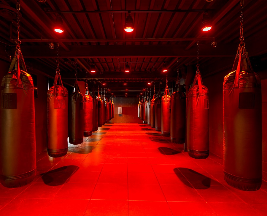 chicago hotel with boxing gym